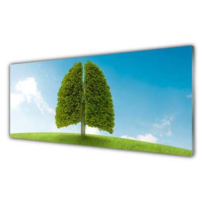 Panel Szklany Trawa Drzewo Płuca Przyroda