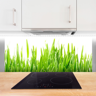 Szkło Ozdobne do Kuchni Poranna Rosa Na Trawie