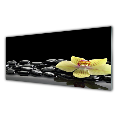 Panel Szklany Kwiat Kuchnia Czarny