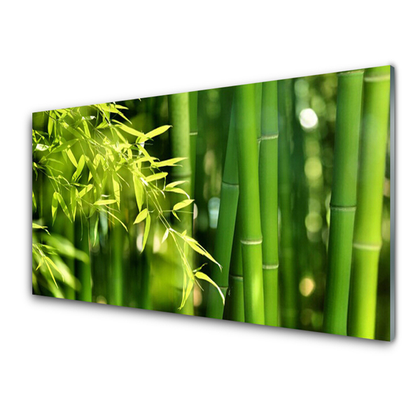 Panel Szklany Bambus Liście Roślina