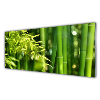 Panel Szklany Bambus Liście Roślina