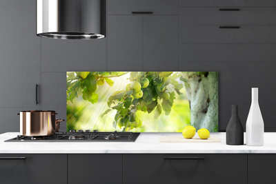 Panel Szklany Dojrzałe Jabłka Na Gałęzi