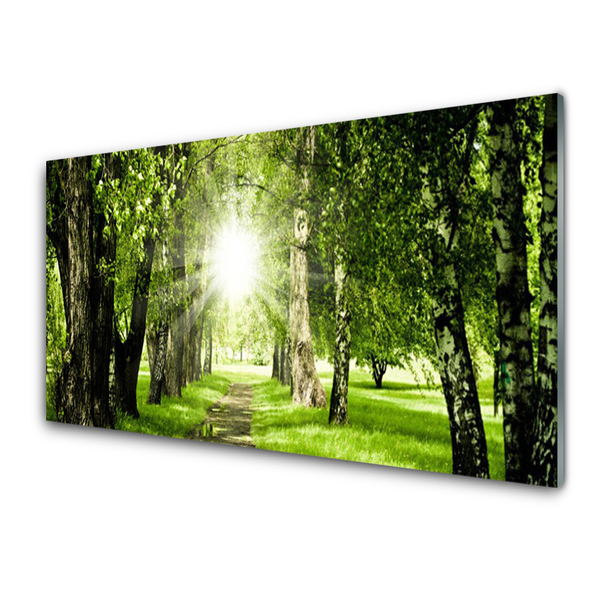 Panel Szklany Las Słońce Ścieżka Natura