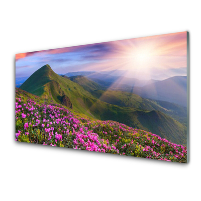 Panel Szklany Góry Łąka Kwiaty Krajobraz