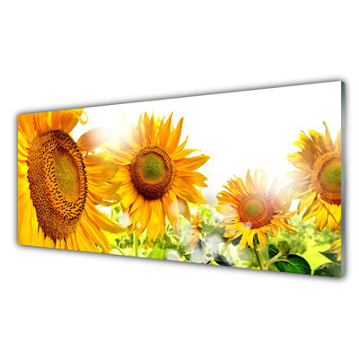 Panel Szklany Słonecznik Kwiat Roślina