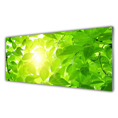 Panel Szklany Liście Natura Słońce Roślina