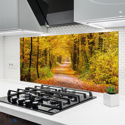 Panel Szklany Spacer Przez Słoneczny Las