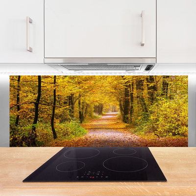 Panel Szklany Spacer Przez Słoneczny Las