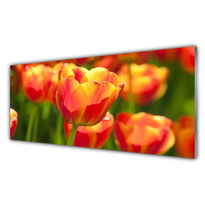 Panel Szklany Tulipany Kwiaty Roślina