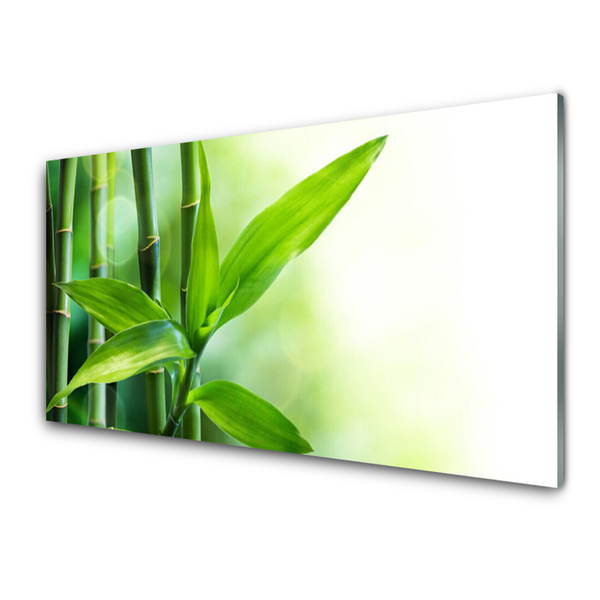 Panel Szklany Bambus Liść Roślina Przyroda