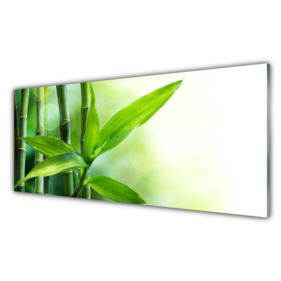 Panel Szklany Bambus Liść Roślina Przyroda
