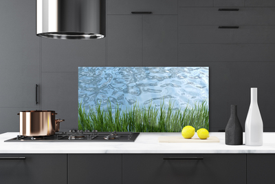 Panel Szklany Świeżość Trawy Nad Brzegiem
