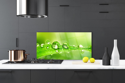 Panel Szklany Perlista Rosa Na Zielonym Liściu