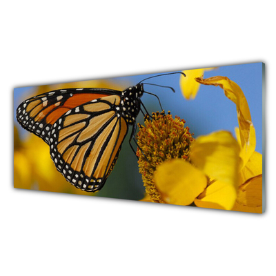 Panel Szklany Motyl Kwiat Przyroda