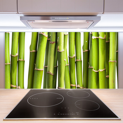 Panel Szklany Bambus Roślina Przyroda