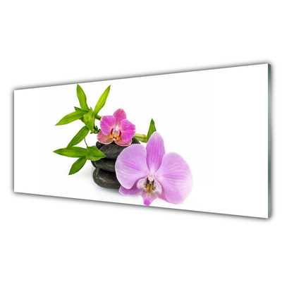 Panel Szklany Kwiat Orchidea Roślina