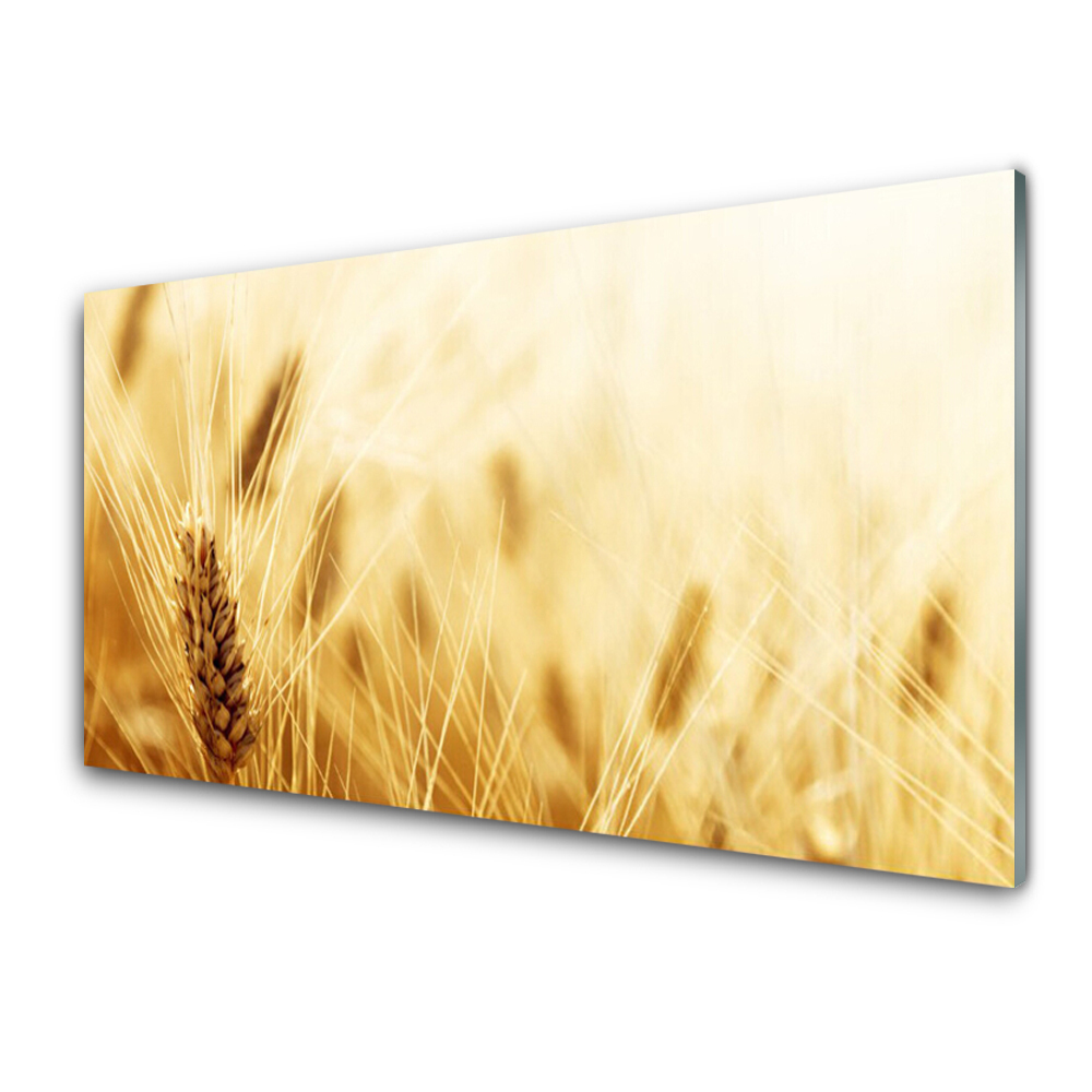 Panel Szklany Pszenica Roślina Natura
