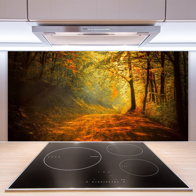 Panel Szklany Leśna Ścieżka W Słońcu