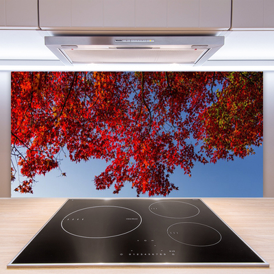 Panel Szklany do Kuchni Rozłożysta Korona Drzewa