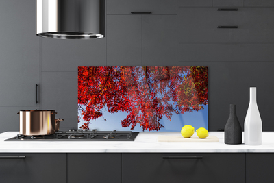 Panel Szklany do Kuchni Rozłożysta Korona Drzewa