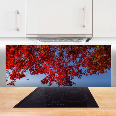 Panel Szklany do Kuchni Rozłożysta Korona Drzewa