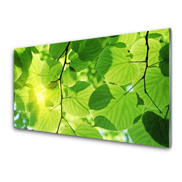Panel Szklany Liście Natura Roślina