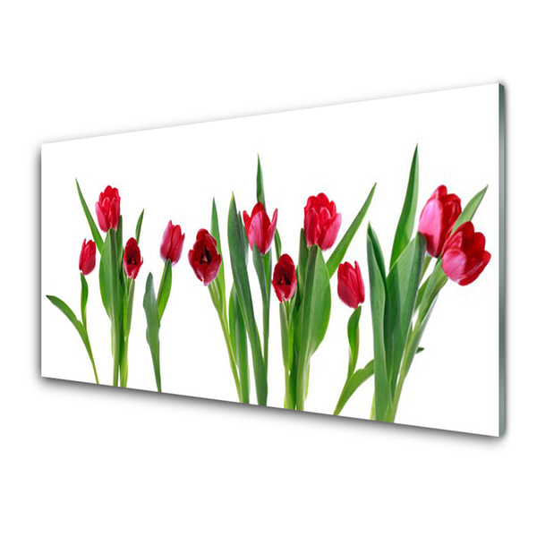 Panel Szklany Tulipany Kwiaty Roślina
