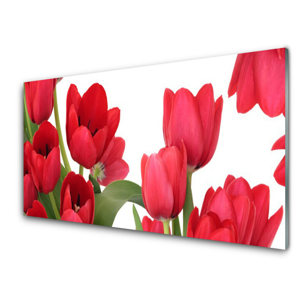 Panel Szklany Tulipany Kwiaty Roślina