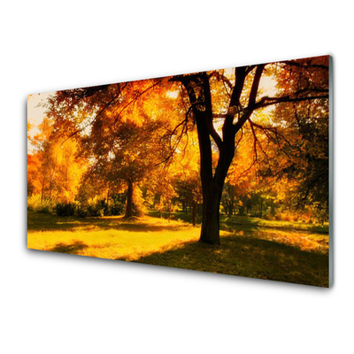 Panel Szklany Drzewa Jesień Przyroda