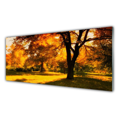 Panel Szklany Drzewa Jesień Przyroda