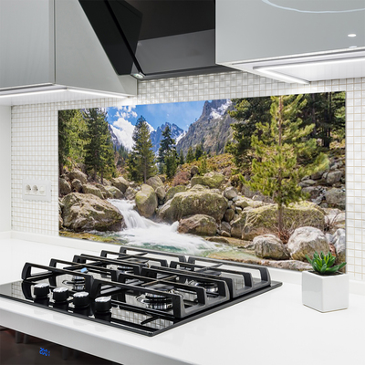 Panel Szklany Dziki Potok w Górskim Lesie