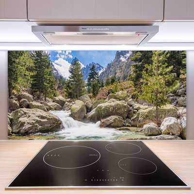 Panel Szklany Dziki Potok w Górskim Lesie