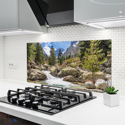 Panel Szklany Dziki Potok w Górskim Lesie