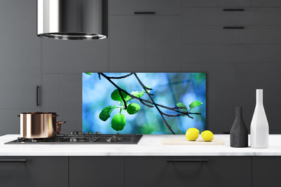 Panel Szklany Świeże Liście na Gałązce