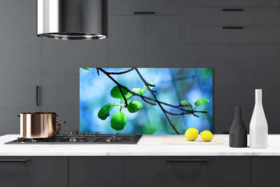 Panel Szklany Świeże Liście na Gałązce