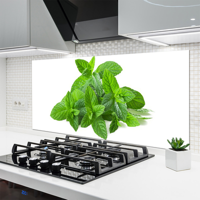 Panel Szklany Świeżość Liści Mięty