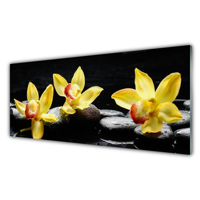 Panel Szklany Kwiat Orchidea Roślina