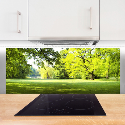 Panel Szklany Parkowa Aleja w Słońcu