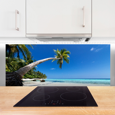 Panel Szklany Rajskie Wybrzeże pod Palmami