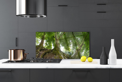 Panel Szklany do Kuchni Korony Rozłożystych Drzew