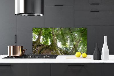 Panel Szklany do Kuchni Korony Rozłożystych Drzew