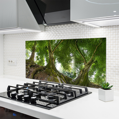Panel Szklany do Kuchni Korony Rozłożystych Drzew
