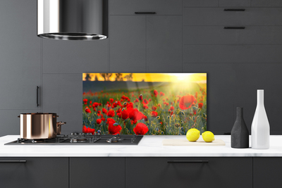 Dekor Szklany do Kuchni Pole Czerwonych Maków