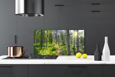 Panel Szklany Droga przez Dziki Las