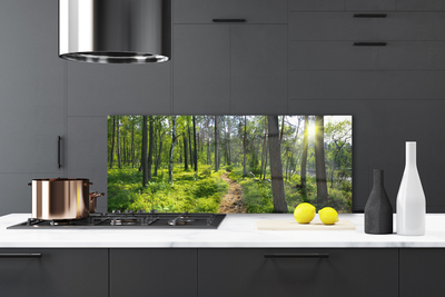 Panel Szklany Droga przez Dziki Las