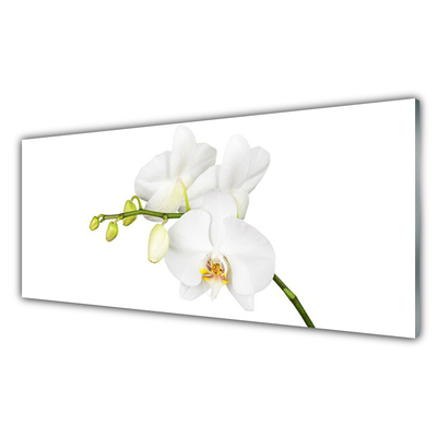 Szkło do Kuchni na Ścianę Egzotyczna Elegancja Orchidei