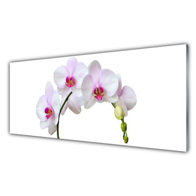 Panel Szklany Storczyk Orchidea Kwiaty