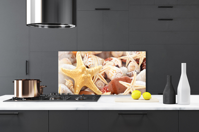 Panel Szklany Kompozycja Muszli na Brzegu