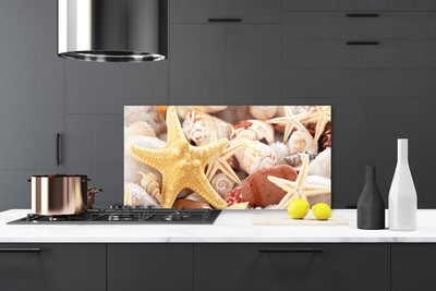Panel Szklany Kompozycja Muszli na Brzegu