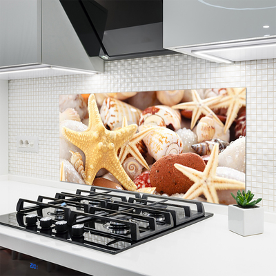 Panel Szklany Kompozycja Muszli na Brzegu